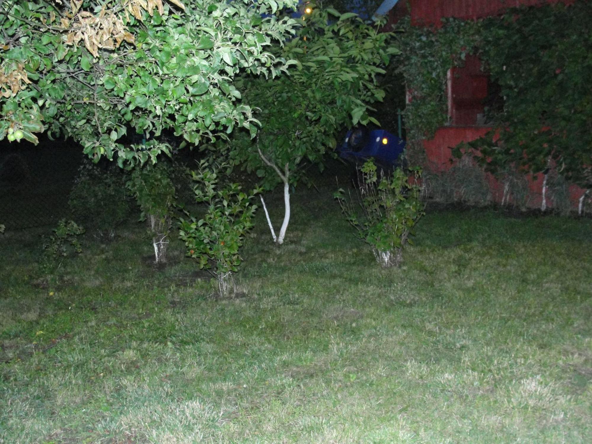 Apartament Wolin Nad Woda Kolo Miedzyzdrojow Dış mekan fotoğraf