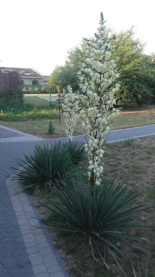 Apartament Wolin Nad Woda Kolo Miedzyzdrojow Dış mekan fotoğraf